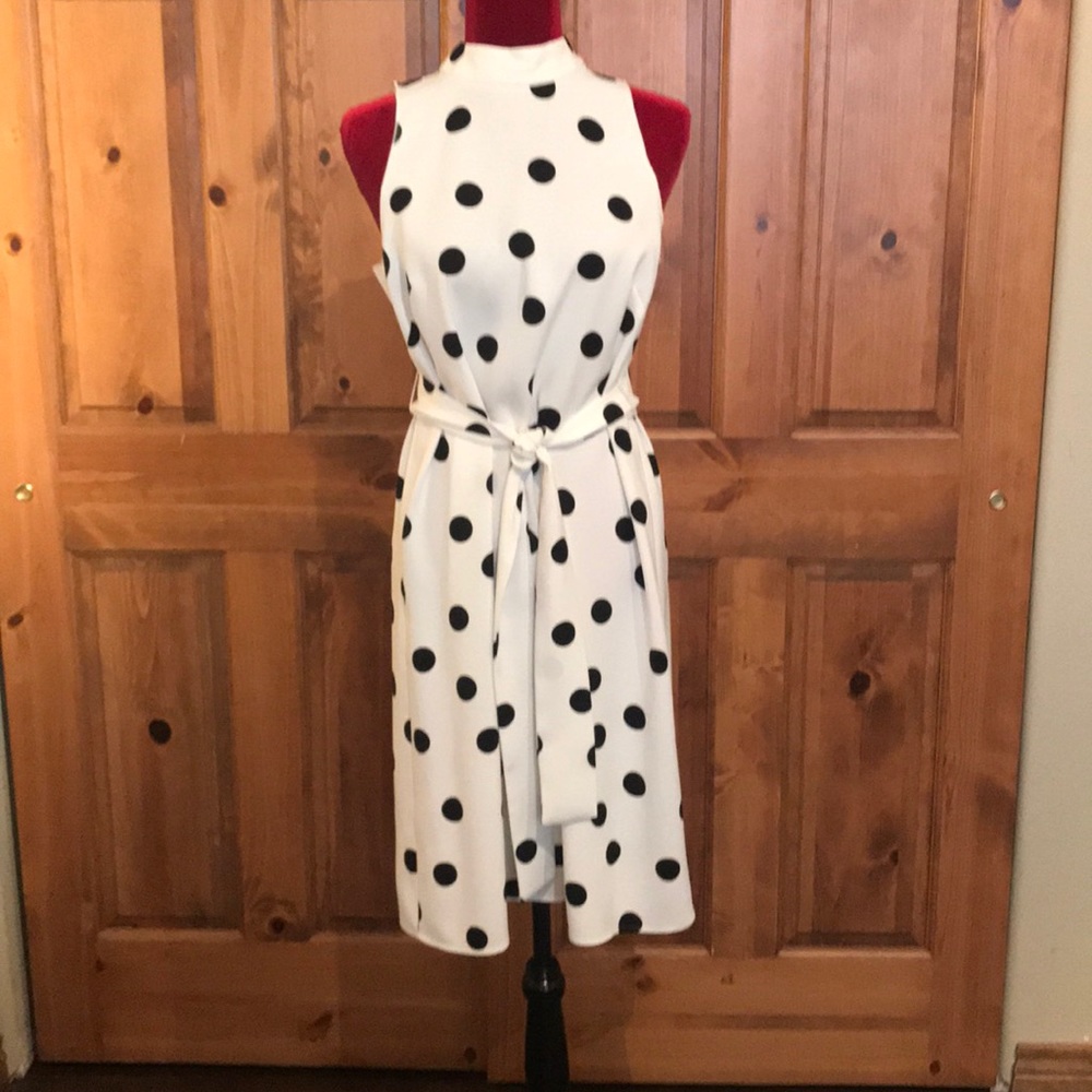 Ann Taylor dress